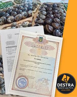 Спосіб приготування равликів &mdash; Патент на корисну модель № 160606