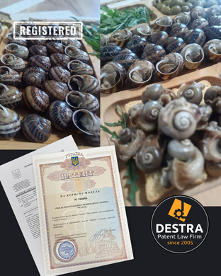 [EXAMPLE] Method for Preparing Snails &mdash; Utility Model No. 160606