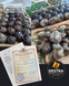 [EXAMPLE] Method for Preparing Snails &mdash; Utility Model No. 160606