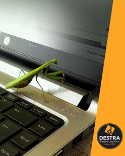Software, Data Bases, Websites