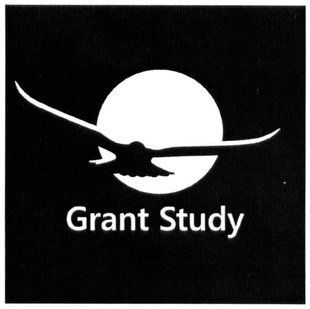 Example of a Registered Ukrainian Trademark
